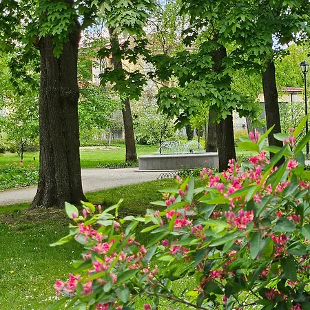 Mykoliukas *