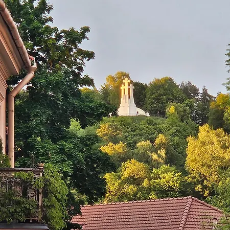 Mykoliukas Apartament *