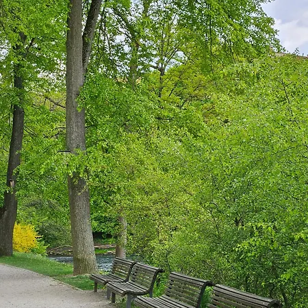 Mykoliukas Апартаменти *