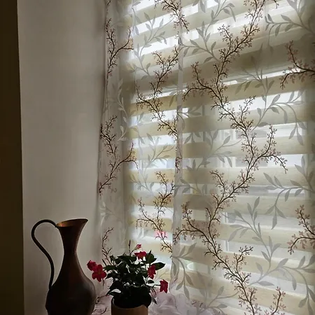 Appartement Mykoliukas