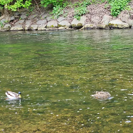 Mykoliukas Apartment