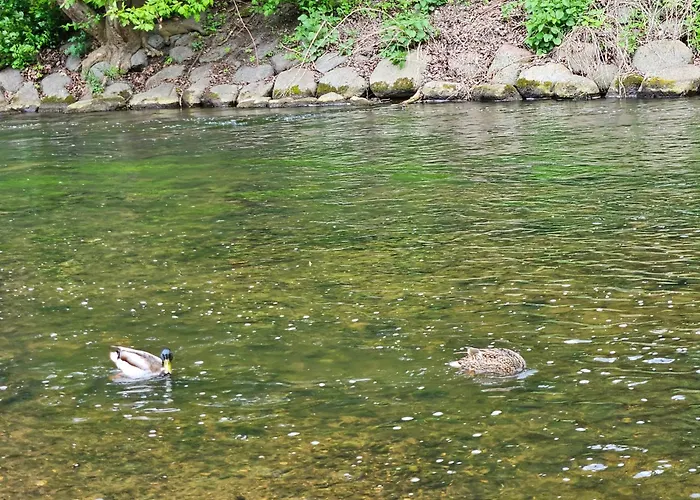 Mykoliukas 아파트